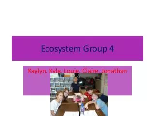 Ecosystem Group 4