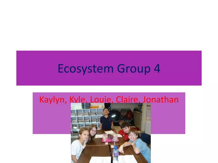ecosystem group 4