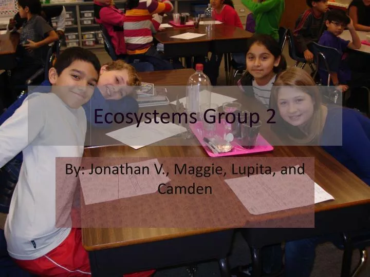 ecosystems group 2