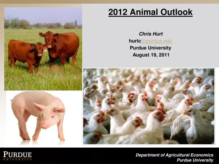 2012 animal outlook chris hurt hurtc @purdue edu purdue university august 19 2011