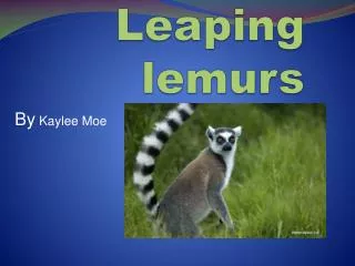 Leaping lemurs