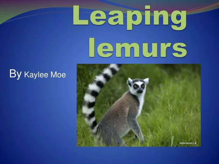 leaping lemurs