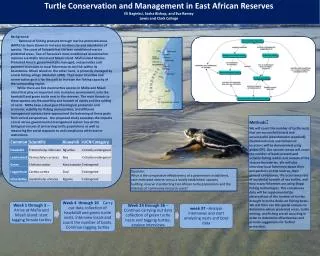 Turtle Conservation and Management in East African Reserves