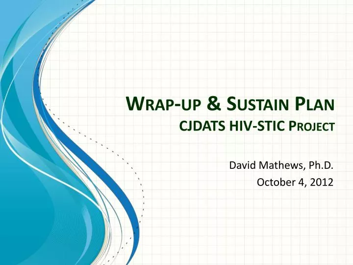 wrap up sustain plan cjdats hiv stic project