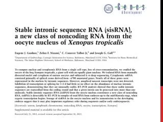 The Meiosis I-to-Meiosis II Transition in Mouse Oocytes Requires Separase Activity