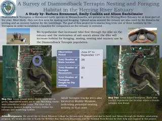 A Survey of Diamondback Terrapin Nesting and Foraging Habitat in the Herring River Estuary