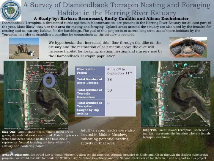 a survey of diamondback terrapin nesting and foraging habitat in the herring river estuary