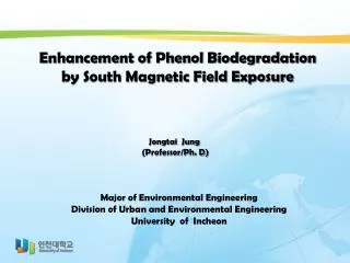 Enhancement of Phenol Biodegradation by South Magnetic Field Exposure