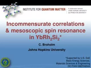 I ncommensurate correlations &amp; mesoscopic spin resonance in YbRh 2 Si 2 *