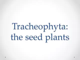 Tracheophyta : the seed plants