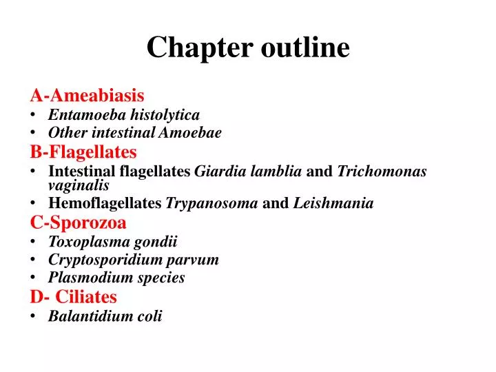 chapter outline