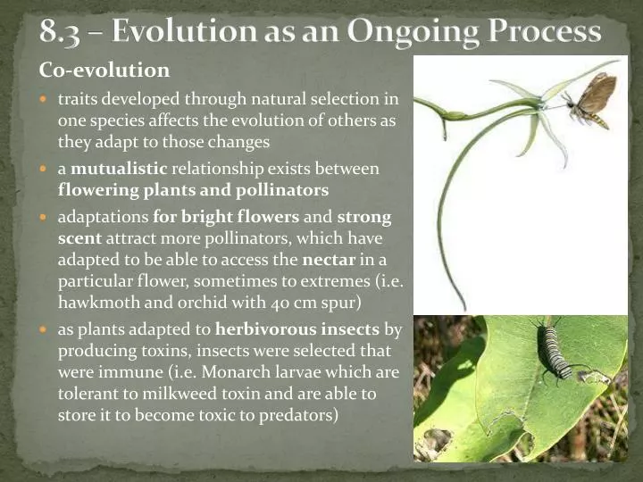 8 3 evolution as an ongoing process