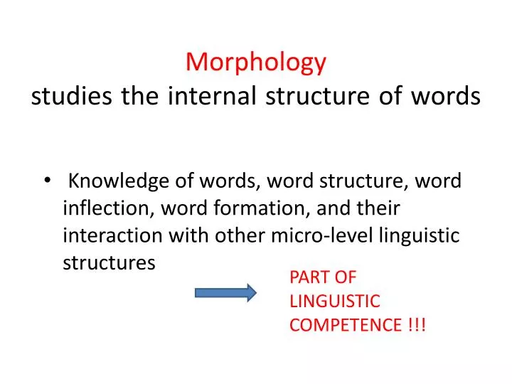 morphology studies the internal structure of words