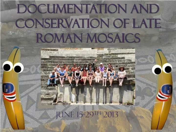 documentation and conservation of late roman mosaics