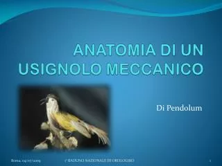 anatomia di un usignolo meccanico