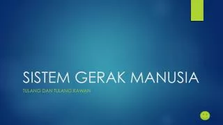 sistem gerak manusia