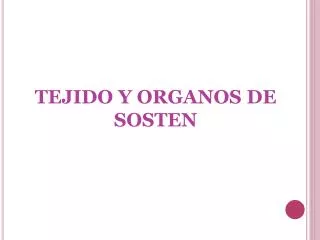 TEJIDO Y ORGANOS DE SOSTEN