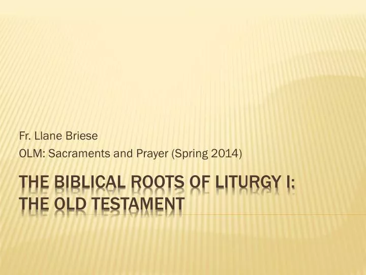 fr llane briese olm sacraments and prayer spring 2014