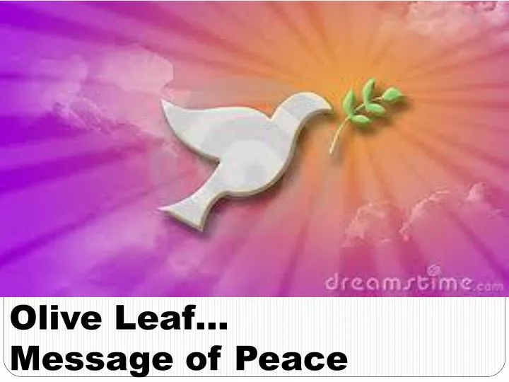 olive leaf message of peace