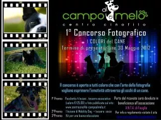 1 concorso fotografico l colori del cane termine di presentazione 30 maggio 2012