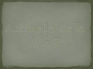 Animale de la A la Z