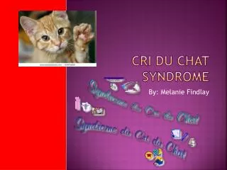 Cri Du Chat Syndrome