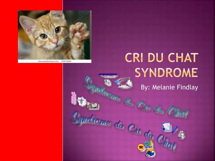 cri du chat syndrome