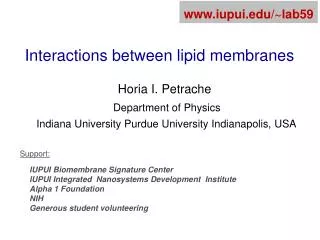 Interactions between lipid membranes