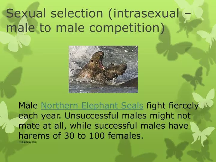 sexual selection intrasexual male to male competition