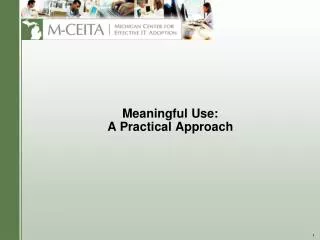 Meaningful Use: A Practical Approach