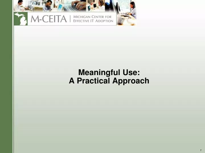 meaningful use a practical approach