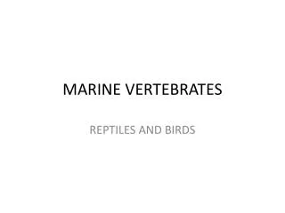 MARINE VERTEBRATES