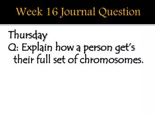 Week 16 Journal Question