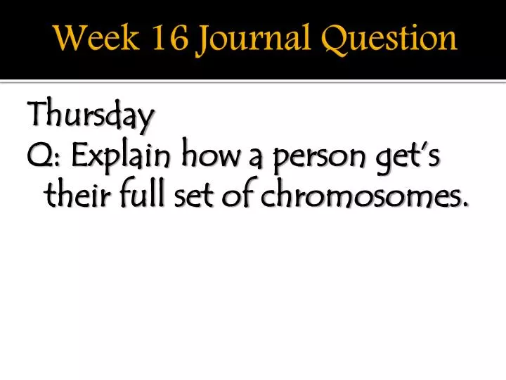 week 16 journal question