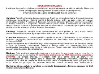 Em relação ao grau de condensação, a cromatina é classificada em eucromatina e heterocromatina.