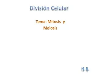 divisi n celular