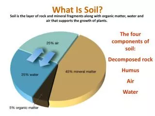 What Is Soil?