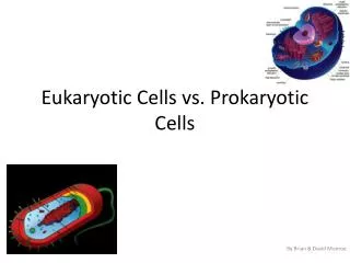 Eukaryotic Cells vs. Prokaryotic Cells