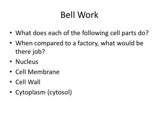 Bell Work