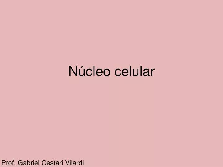 n cleo celular