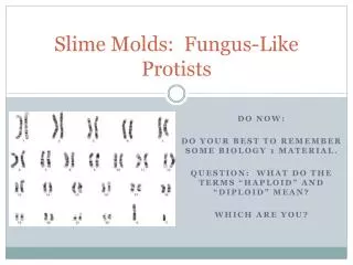 Slime Molds: Fungus-Like Protists