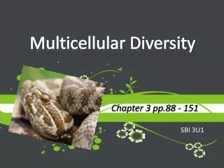 Multicellular Diversity