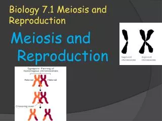 Biology 7.1 Meiosis and Reproduction