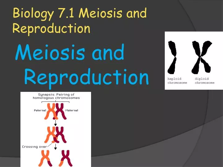 biology 7 1 meiosis and reproduction