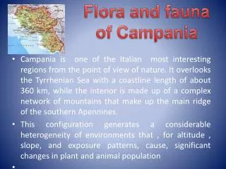 Flora and fauna of Campania