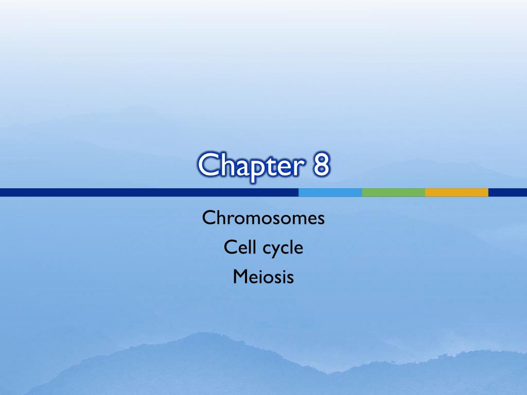 PPT - Chapter 8 PowerPoint Presentation, free download - ID:2127542