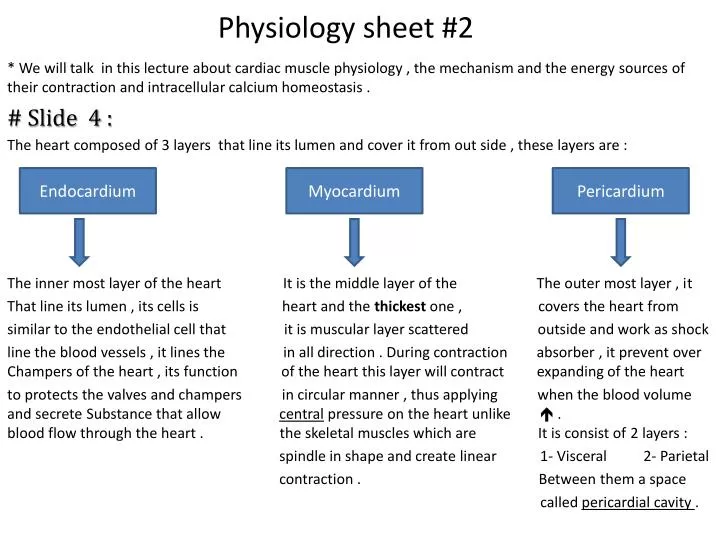 physiology sheet 2