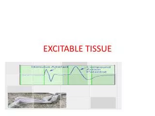 EXCITABLE TISSUE