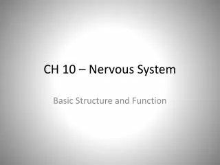 CH 10 – Nervous System