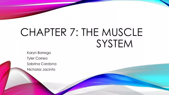 chapter 7 the muscle system